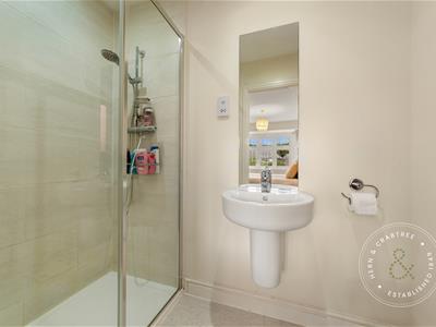 Picture 23